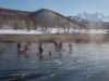 0078_Kamchatka-scaled