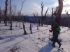 DSC00171-scaled
